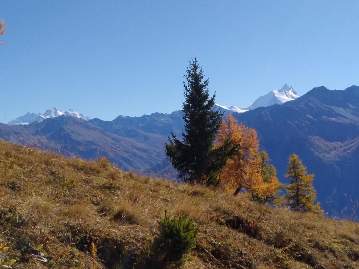Chalet Waldrand Inden Екстериор снимка